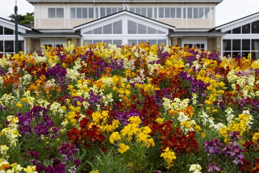 - Wicksteed Park