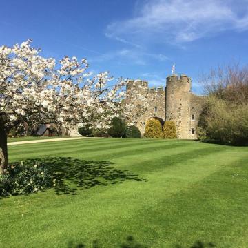 - Amberley Castle