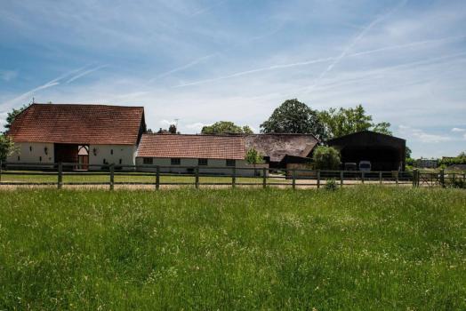 - Bigstrup Farm
